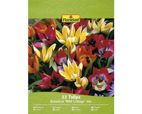 Blomlökar FLORASELF Tulpan Wild Cottage 33st