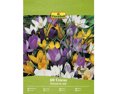 Blomlökar FLORASELF Krokus Crocus Botanical mix 60st