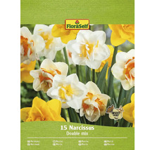 FloraSelf Narcisser Double Mix, förpackning med 15 stycken