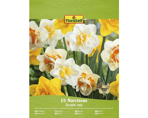 Blomlökar FLORASELF Narciss Narcissus double mix 15st