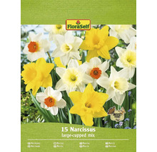 Förpackning med narcissblandning med 15 lökar