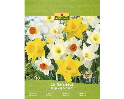 Blomlökar FLORASELF Narciss Narcissus mix 15st