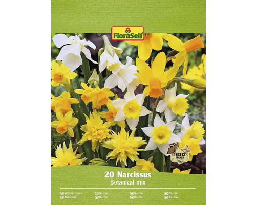 Blomlökar FLORASELF Narciss Narcissus botanical mix 20st