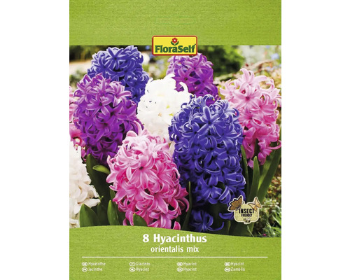 Blomlökar FLORASELF Hyacint Hyacintus orientalis mix 8st