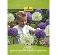 Förpackning med tre Allium ''Sky High'' Mix blomsterlökar