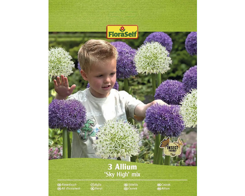 Blomsterlök FLORASELF Allium 'Sky High' blandning 3st