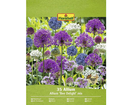 Blomlökar FLORASELF Jättelök Bee Delight Allium mix 35st