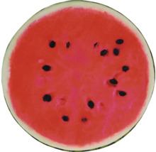 Skivad vattenmelon med kärnor