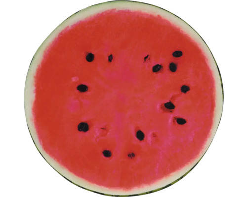 Skivad vattenmelon med kärnor