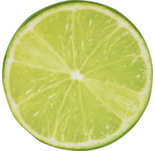 Skiva lime