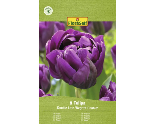 Blomlökar FLORASELF Tulpan Negritta Double 8st