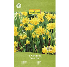 Förpackning med narcisslökar av sorten Tête à Tête med sex stycken, FloraSelf logotyp och bivänlig symbol