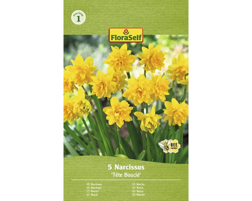 Blomlökar FLORASELF Narciss Tete Boucle 5st