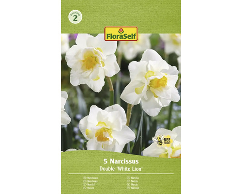 Blomsterlökar FLORASELF Narciss 'White Lion' 5st