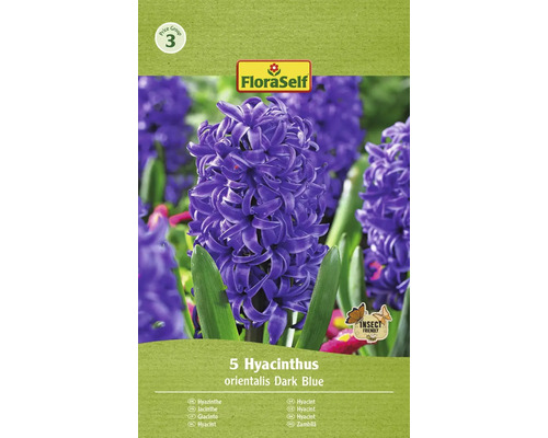 Blomlökar FLORASELF Hyacint Orientalis dark blue 5st