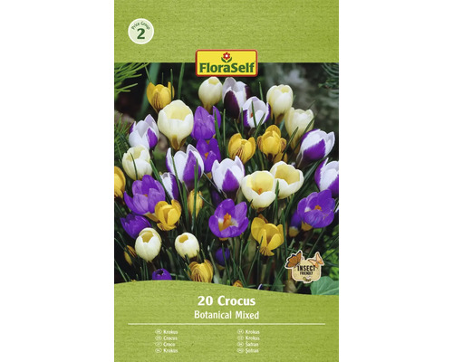 Blomlökar FLORASELF Krokus Crocus Botanical Mixed 20st