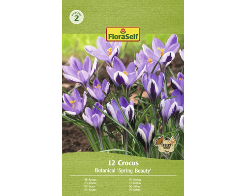 Blomlökar FLORASELF Krokus Spring Beauty 12st