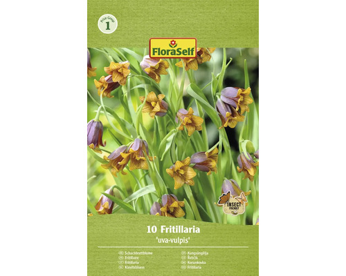 Blomlökar FLORASELF Kejsarkrona Fritillaria Uva-Vulpis 10st