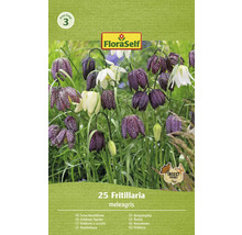 FloraSelf Rutlilja blomsterlökförpackning med den insektsvänliga symbolen