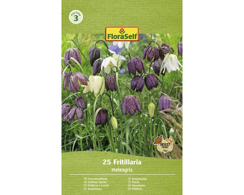 Blomlökar FLORASELF Kejsarkrona Fritillaria Meleagris 25st