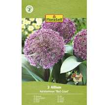 Förpackning med prydnadslökblommor sorten Red Giant