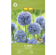 FloraSelf Allium ''caeruleum'' förpackning med Insektvänlig symbol