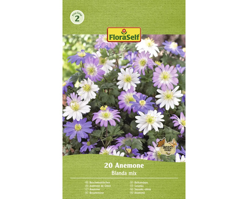 Blomlökar FLORASELF Balkansippa Anemone 20st