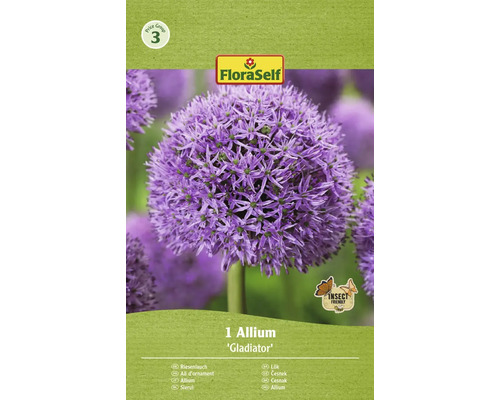 Blomlökar FLORASELF Allium Gladiator 1st