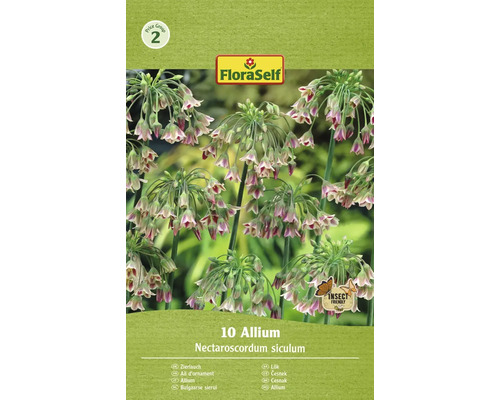 Blomlökar FLORASELF Allium Nectaroscordum Siculum 10st