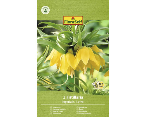 Blomlökar FLORASELF Kejsarkrona Fritillaria Imperialis Lutea 1st