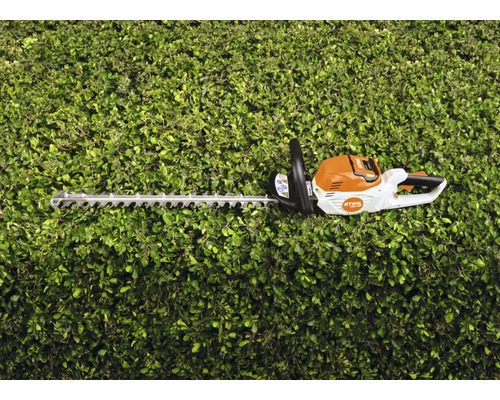 Häcksax på en häck