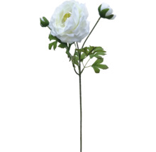Konstväxt Lotus x3 50cm vit