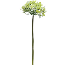 Konstväxt Lagerströmia 53cm grön