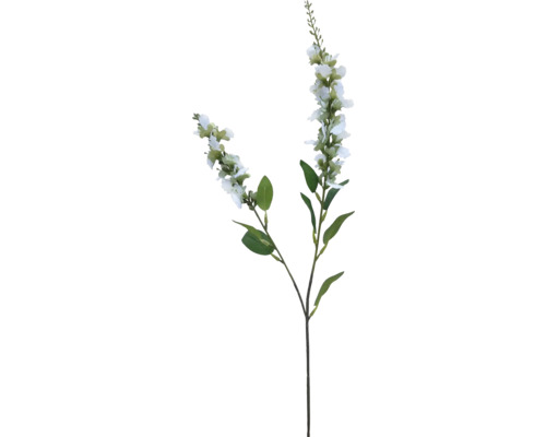 Konstväxt Lavendel 67cm vit