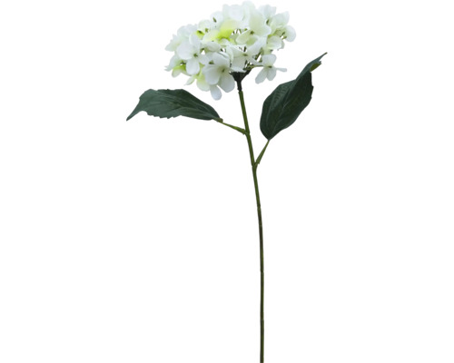 Konstväxt Hortensia 42cm grön