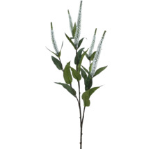 Konstväxt Salvia x5 71cm vit