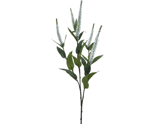 Konstväxt Salvia x5 71cm vit