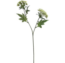 Konstgjord flockblommig växt med stjälk och blad