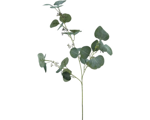 Konstväxt Eukalyptus 68cm