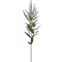 Konstväxt Salvia 69cm rosa