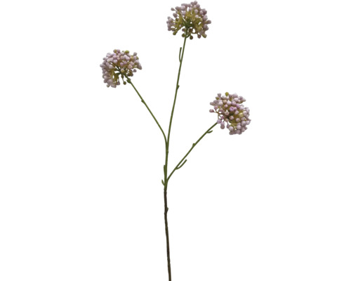 Konstväxt Mini Allium x3 58cm rosa