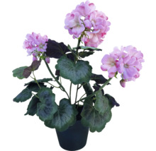 Konstväxt pelargon i kruka 40cm rosa