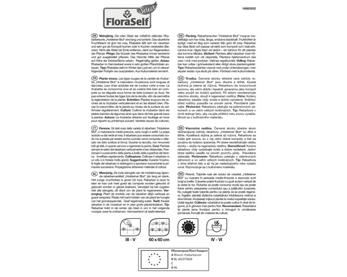 Information om rabarber Holsteiner Blut med odlingsanvisningar
