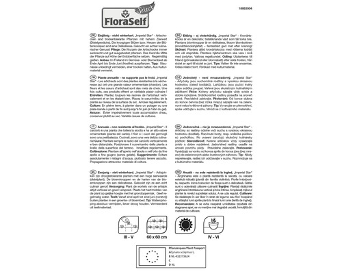 Produktinformation om odling och skötsel av kronärtskockor Imperial Star