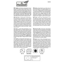 Information om jordgubbssorten Senga Sengana, flerårig, planteringsavstånd och växtpass