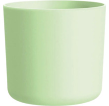 Blomkruka Lora plast Ø7x6,5cm pistage