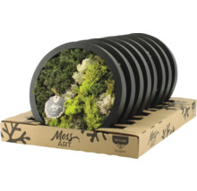 Mossbild i svart ram på kartongförpackning