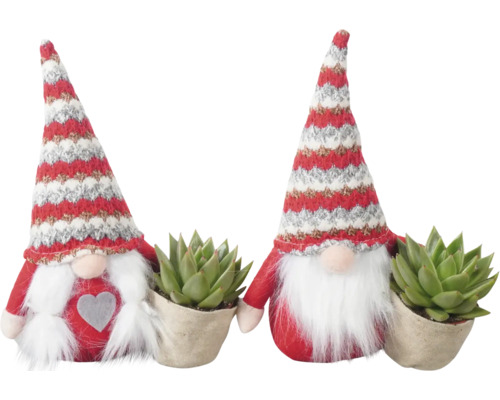 Suckulentarrangemang FLORASELF Gnome ca 24cm