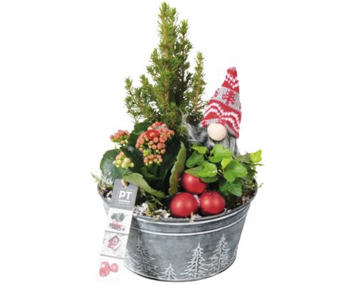 Jularrangemang FLORASELF minijulgran ca 25cm zinkkruka Ø18cm