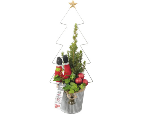 Miniarrangemang FLORASELF julgran ca 40cm zinkkruka Ø13cm